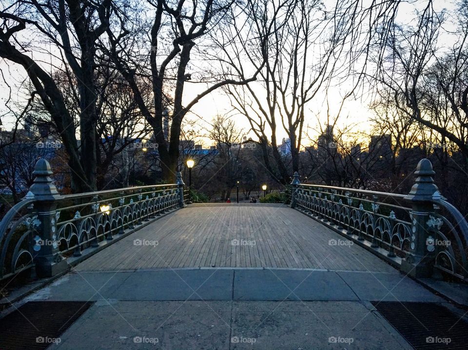 Photo of a pained bridge in Central Park, New a York City. The viewer is looking across the bridge at winter trees, a sunset, and the skyline in the distance. 