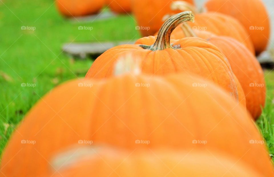 Pumpkins