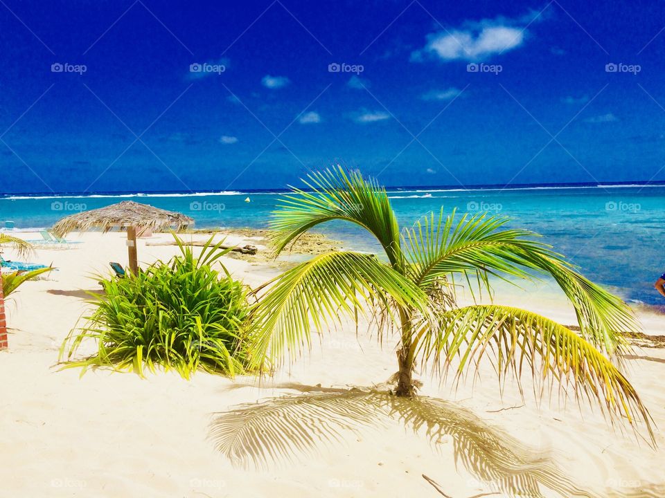 Blue sky, white sand and palms on the beach 