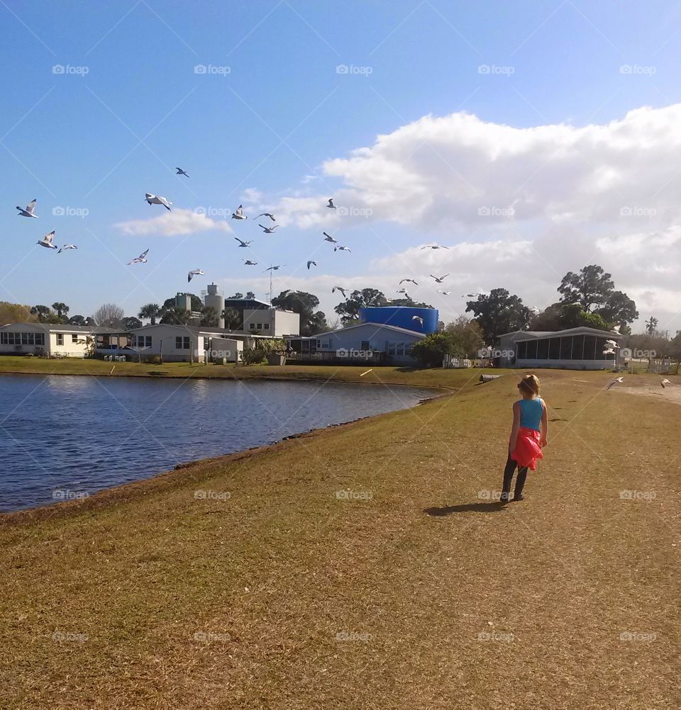 chasing seagulls . nature 