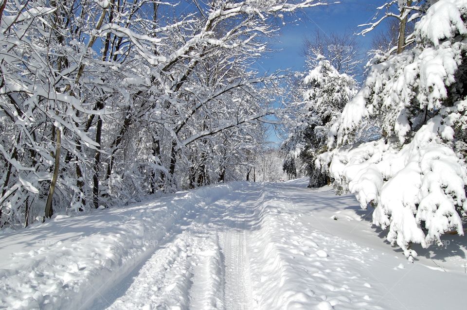 Winter’s Beauty, fresh fallen snow on a country road