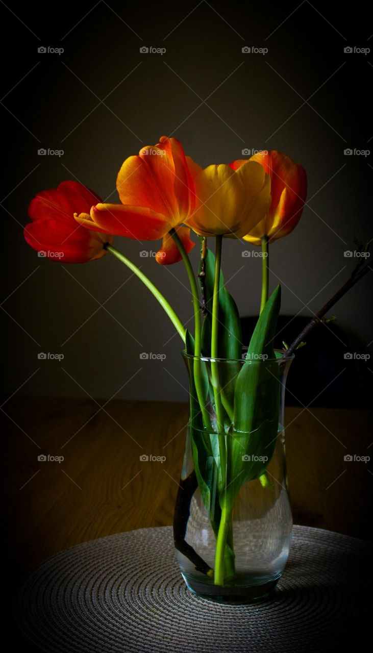 tulips