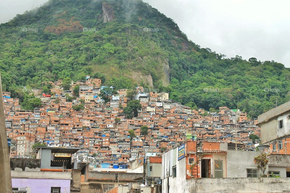 Favela