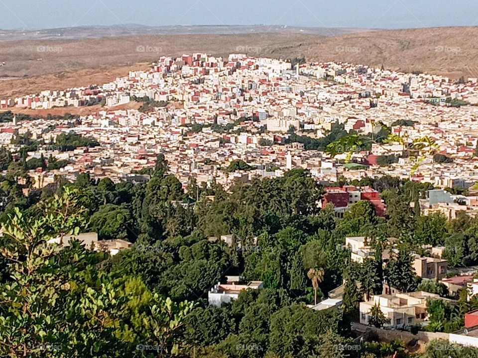 Population between the nature