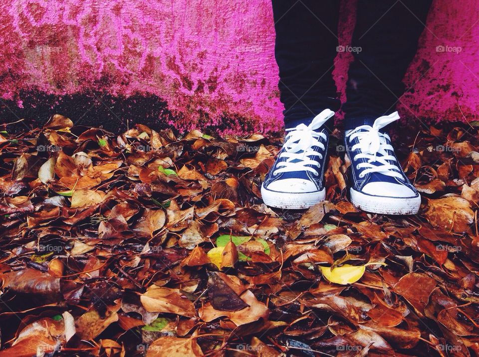 Fall leaves grunge wall sneakers 