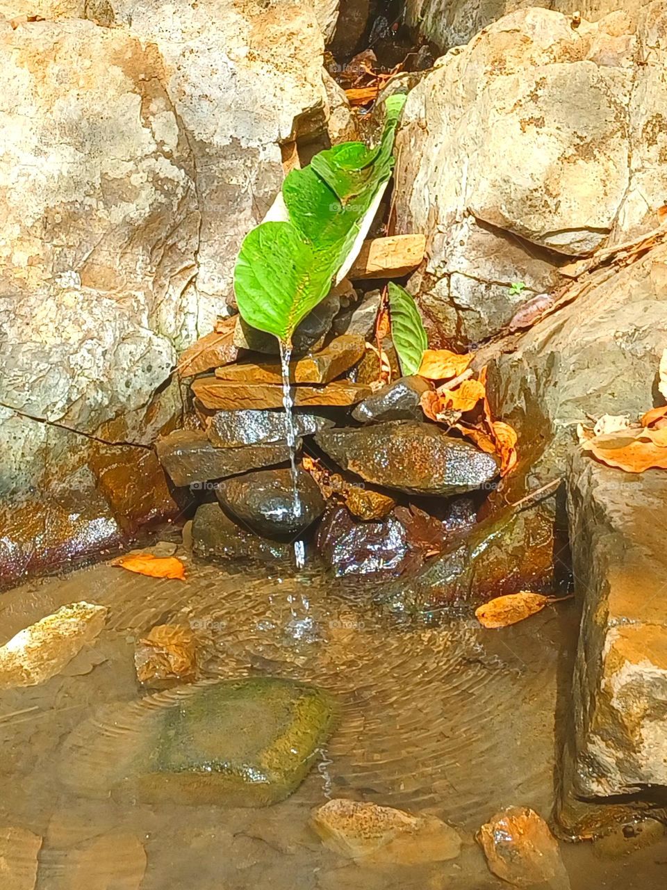 Natural tap for drinking water in Kitakocha, Jharkhand, India