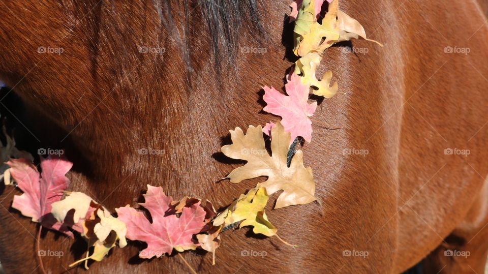 leaf wreath