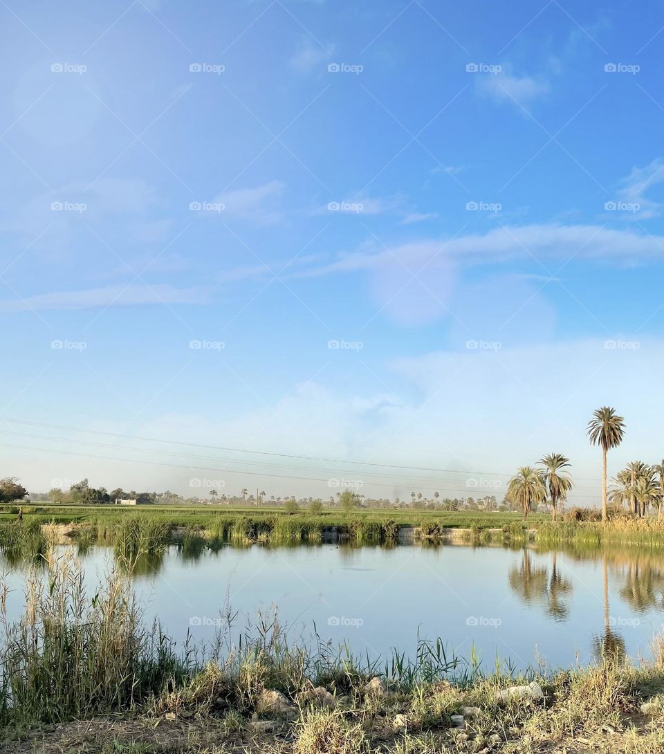 A lake with fish among farms in the Egyptian city of Beni suef.