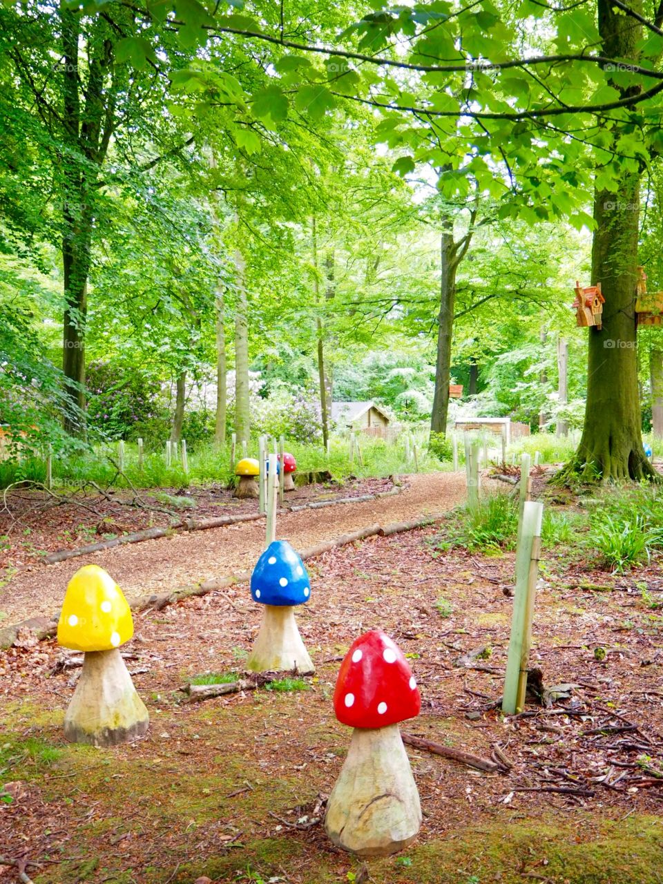 Colourful toadstools and bright bird houses in Longleat Forest