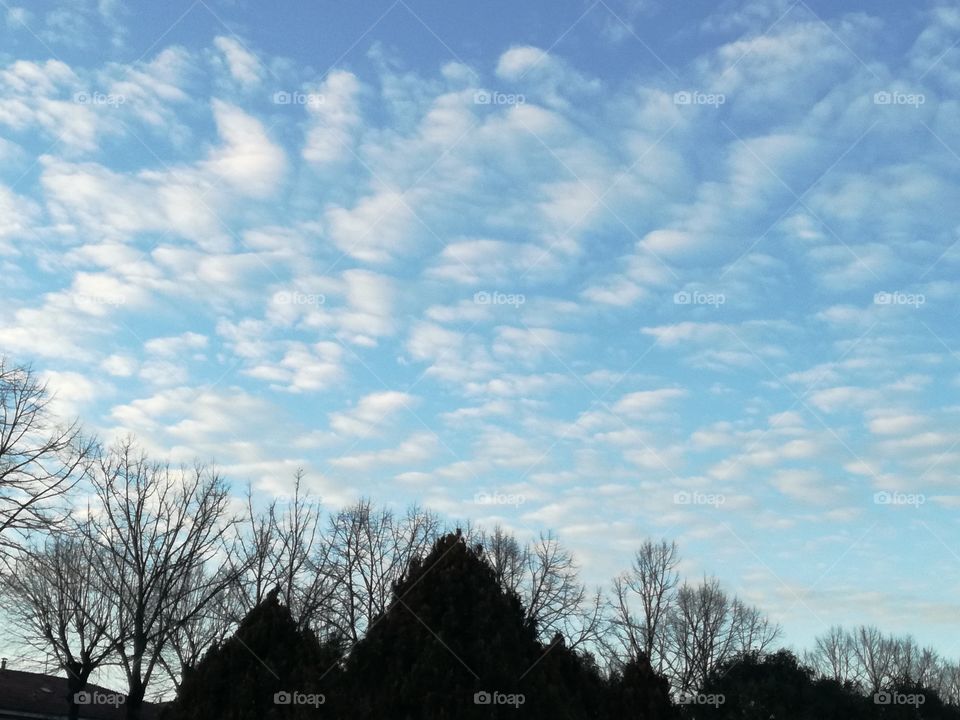 Sky in sheeps, water in pits