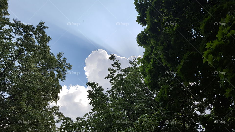 Smiley, fruit smiley, sky,