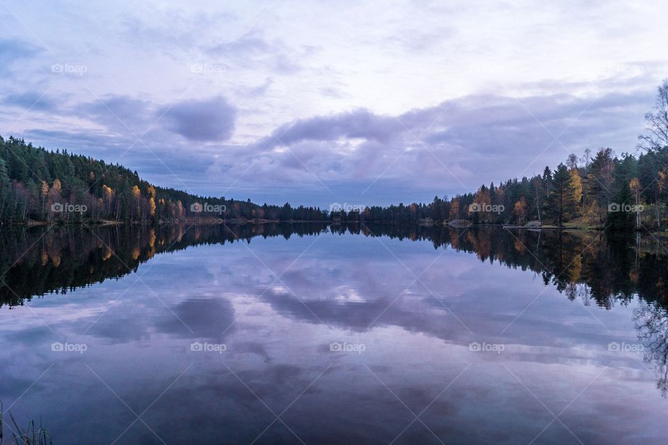 Steinbruvann, Oslo. Norway. 