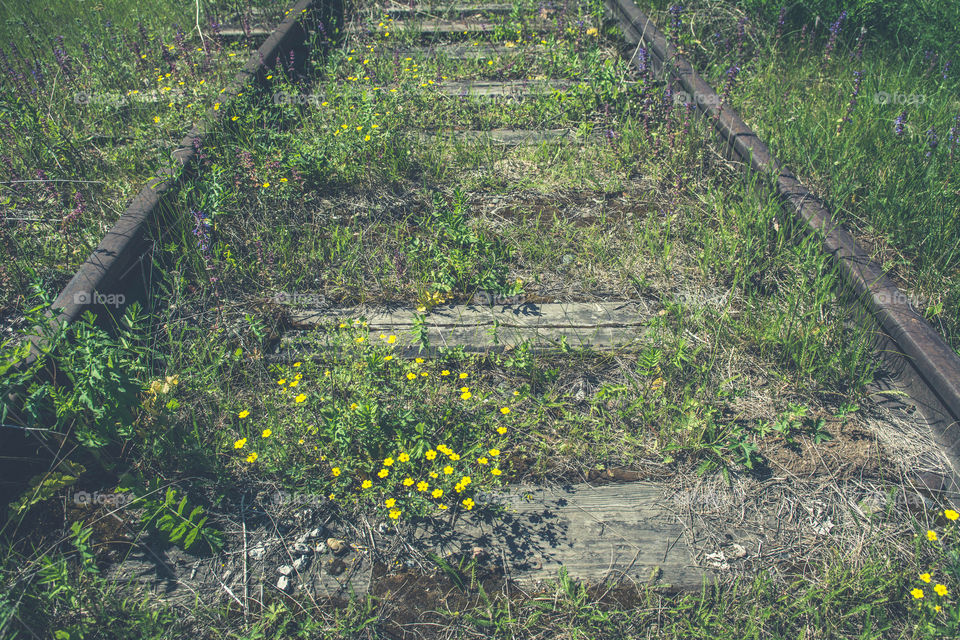 Perfect imperfections