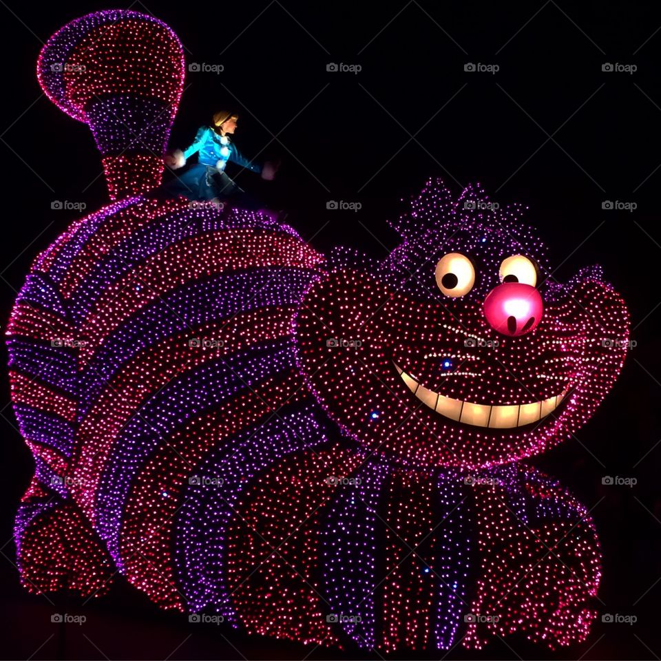 Cheshire Cat in lights 