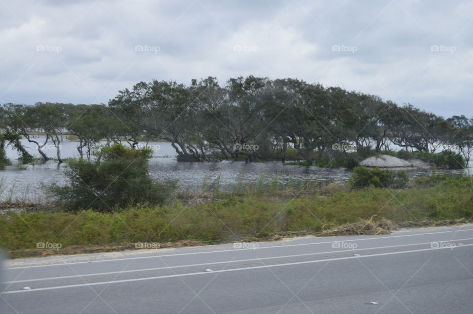 Traveling down the road