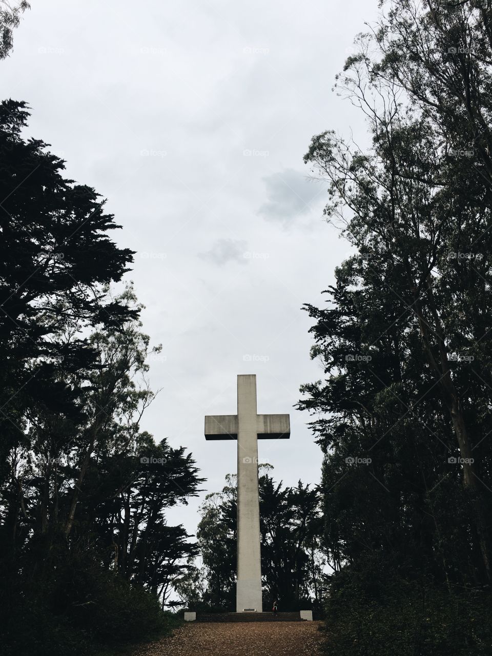 Cross, Cemetery, Tree, No Person, Religion