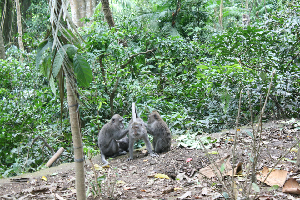 Indonesia