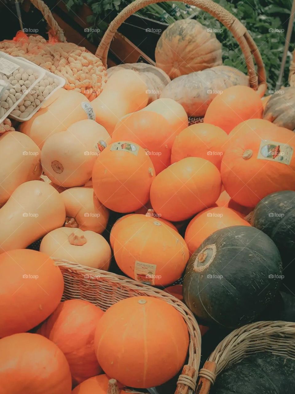 Close-up of pumpkins arranged in a basket. Orange pumpkins dominate the picture, with some yellow and dark green pumpkins in high angle view