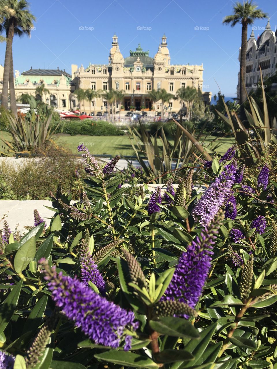 Garden of Monaco