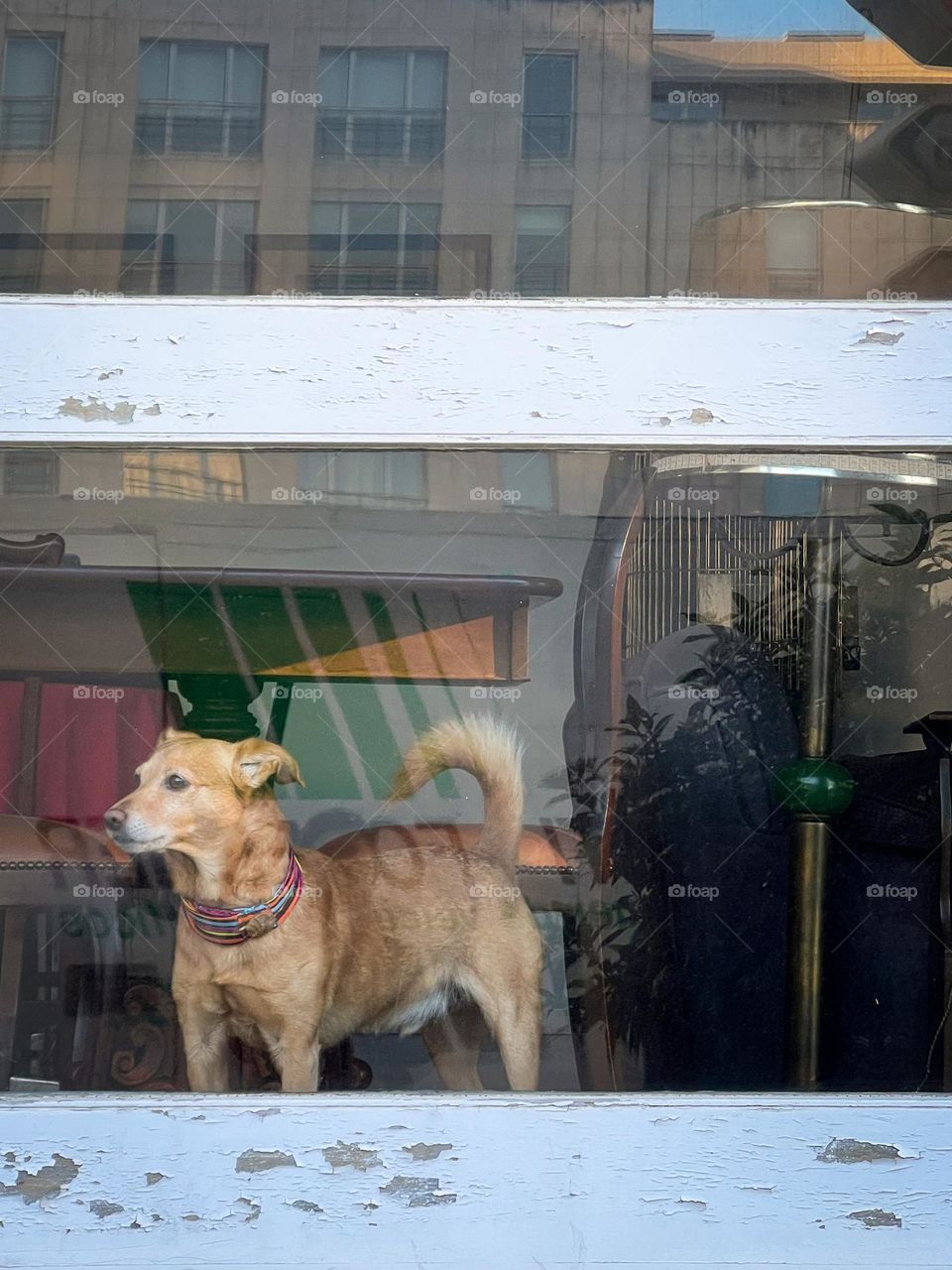 Wood bar, metal lamp