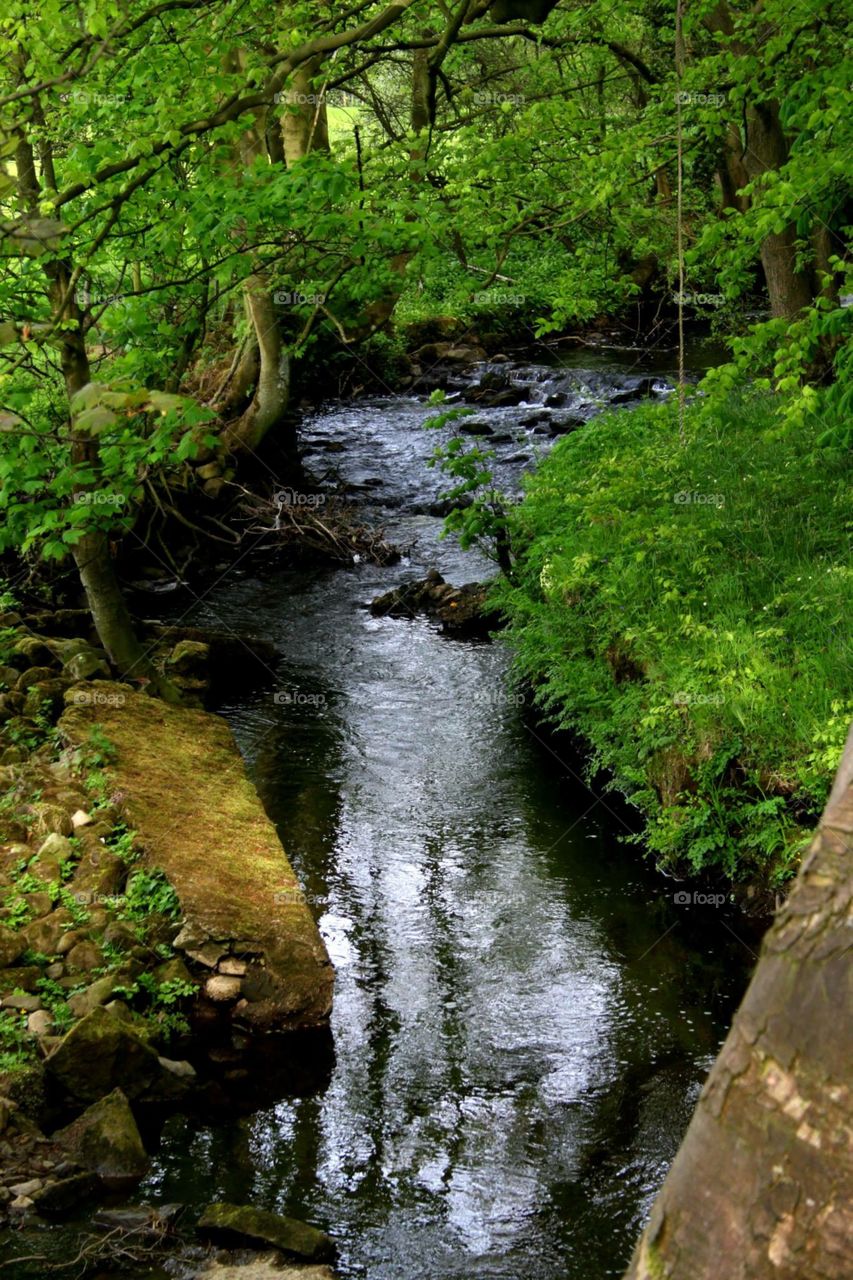 A stream trickling through Bailrigg, Lancaster 