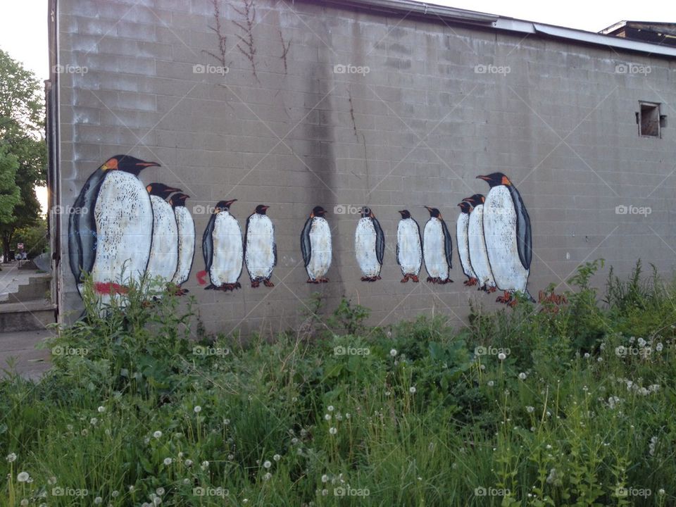 graffiti city ny penguin by jtina823