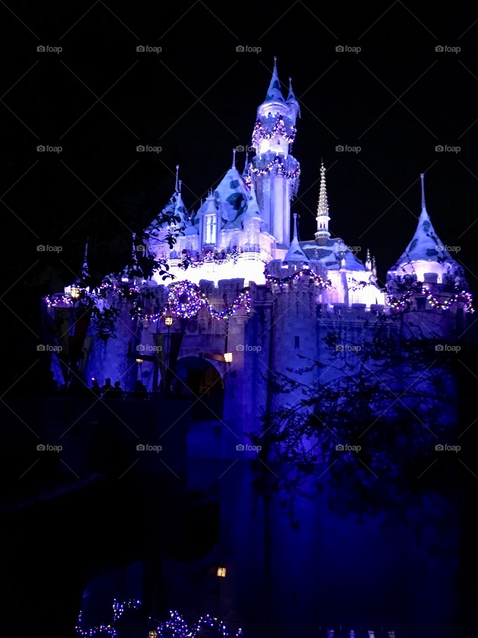 Sleeping Beauty’s Castle at night with lights.