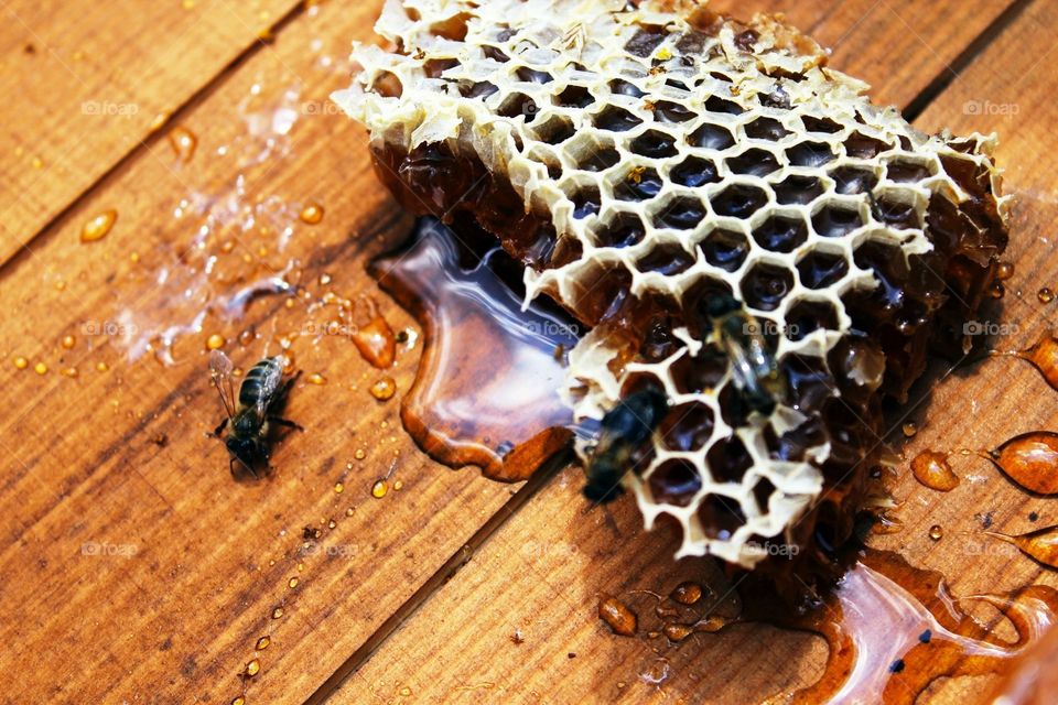 Honey in Wax