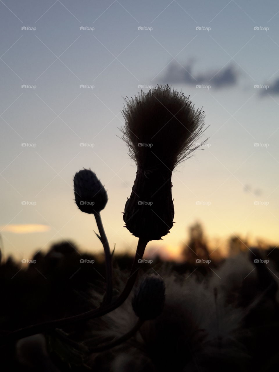 Summer sunset in West Poland.