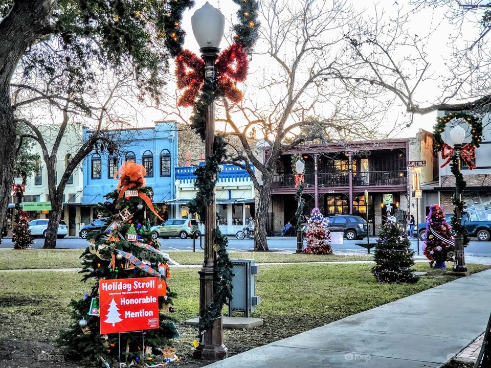 Small town Christmas tree contest