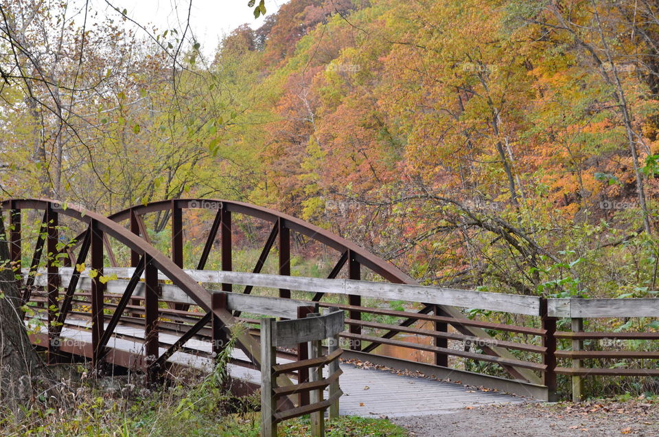 Fall sights. Bridge