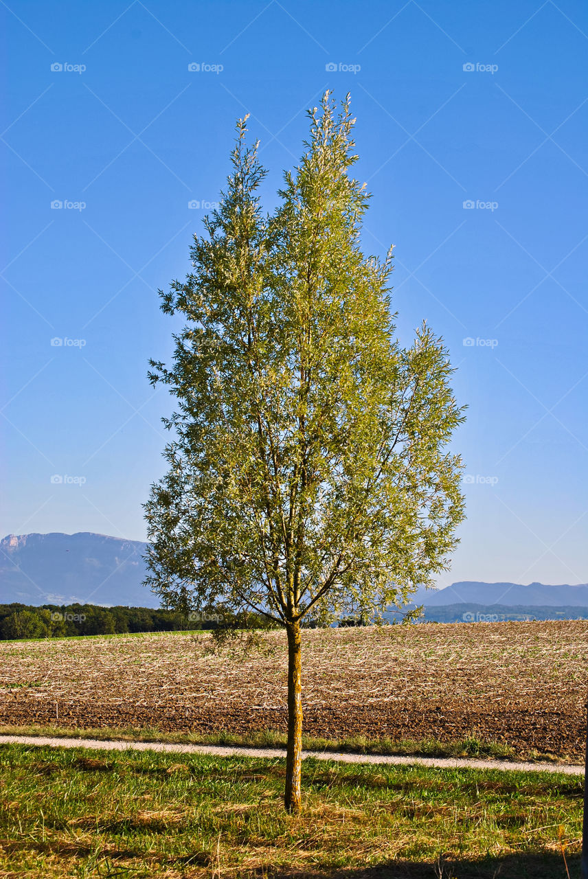 Exploring Switzerland