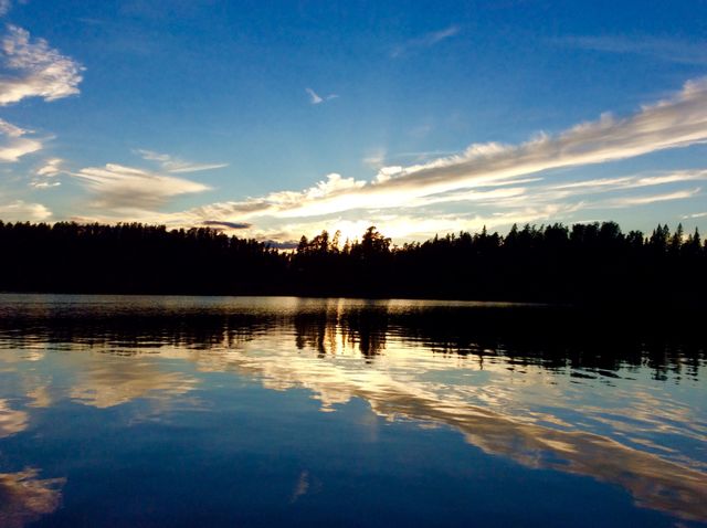 Reflecting of trees on lake