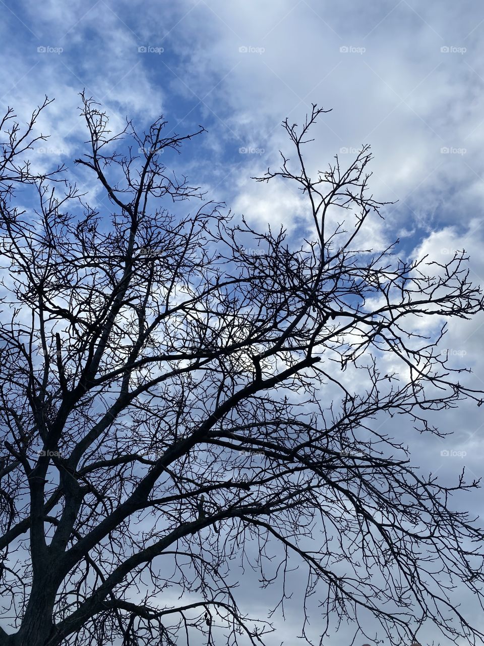 Sky and shadow