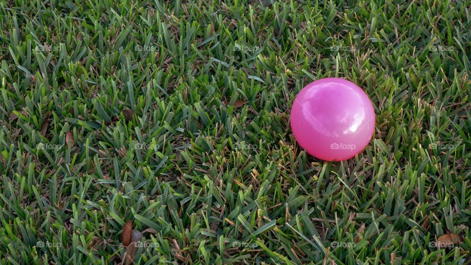 Pink Ball On The Lawn 