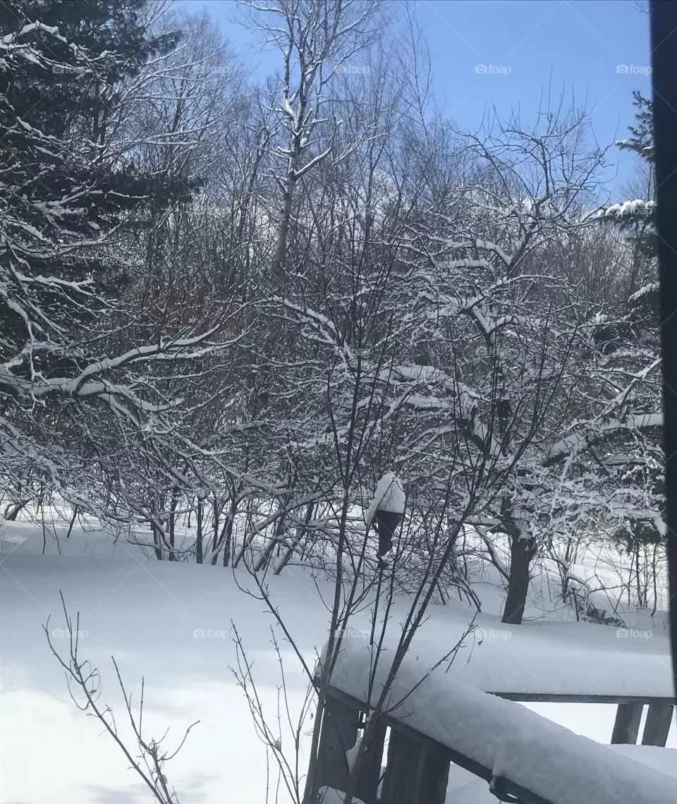 More snow