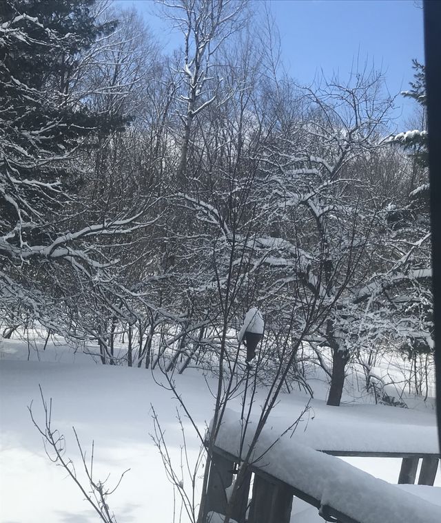 More snow