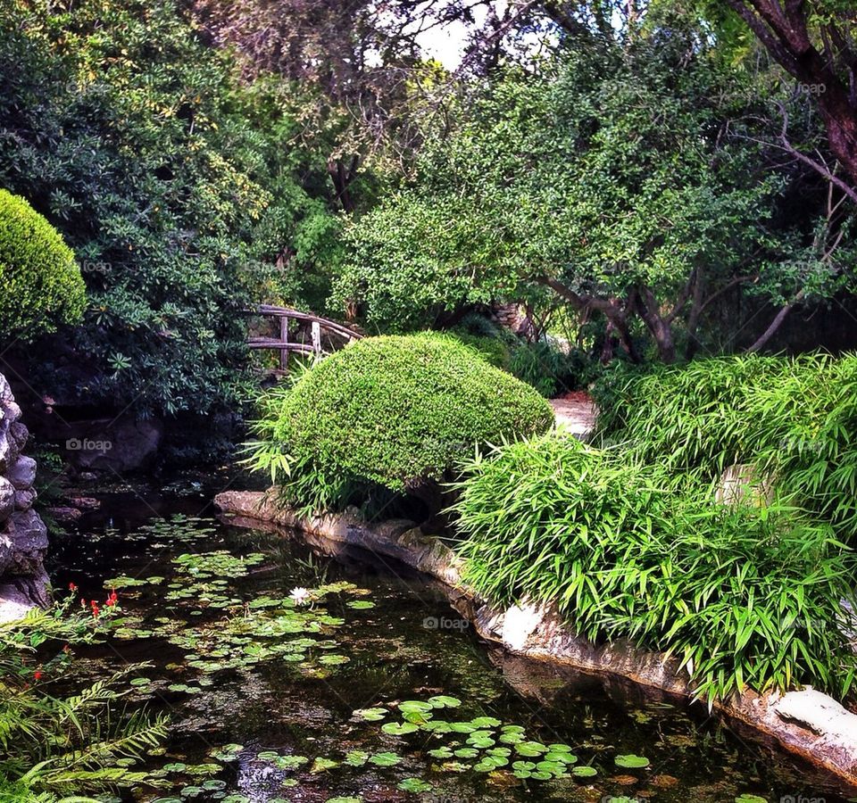 At the Botanical Garden