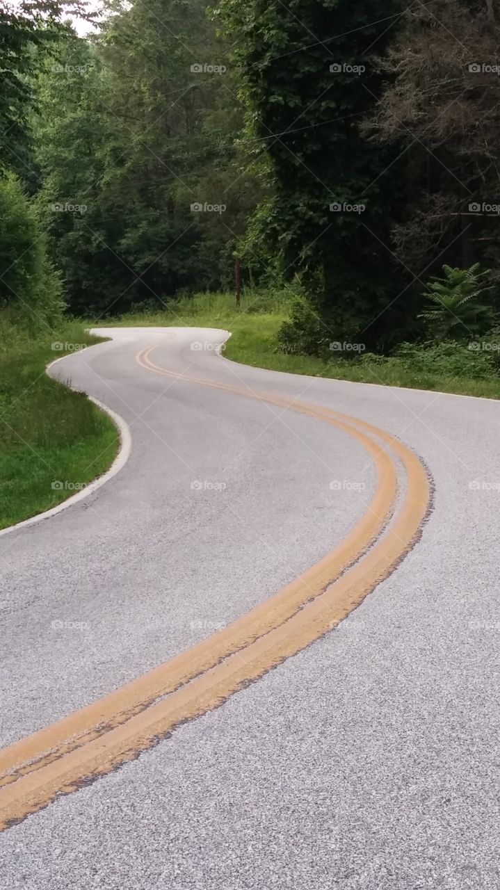 the winding road