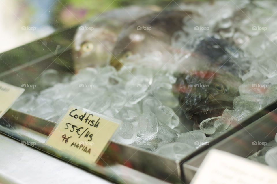 fish in fridge. codfish in ice ready for dinner preparation