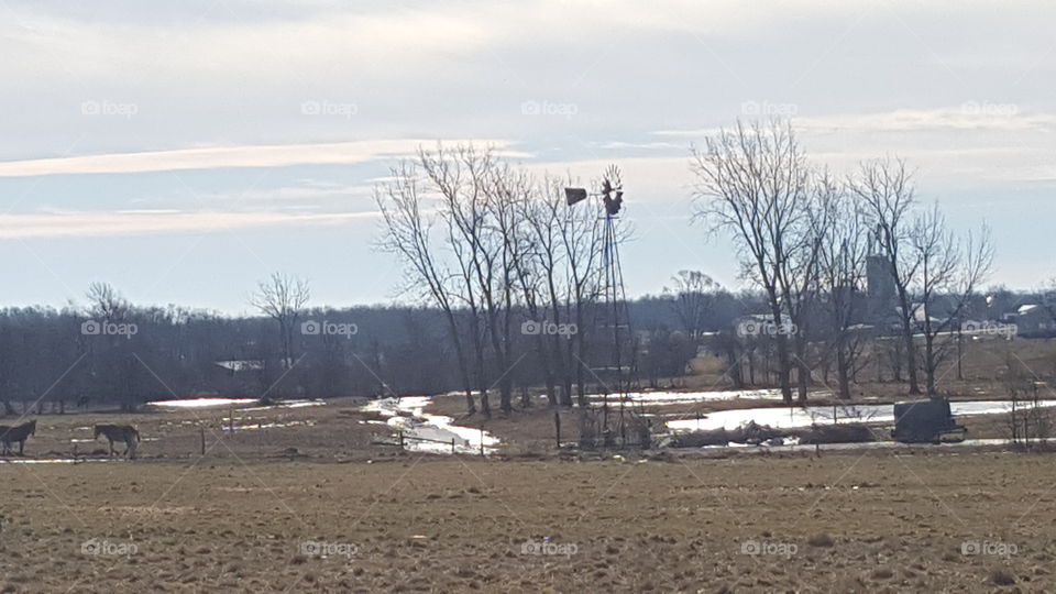 amish farm