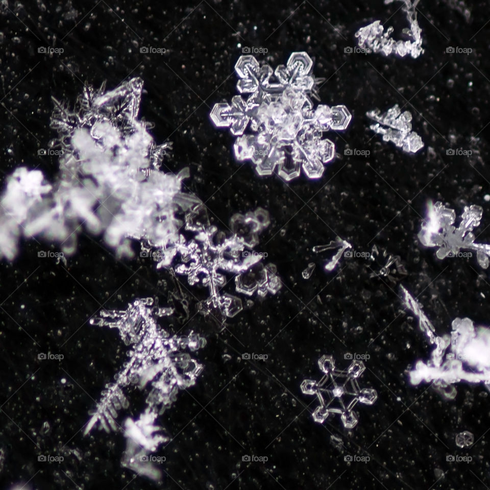 Snowflakes in black background close up
