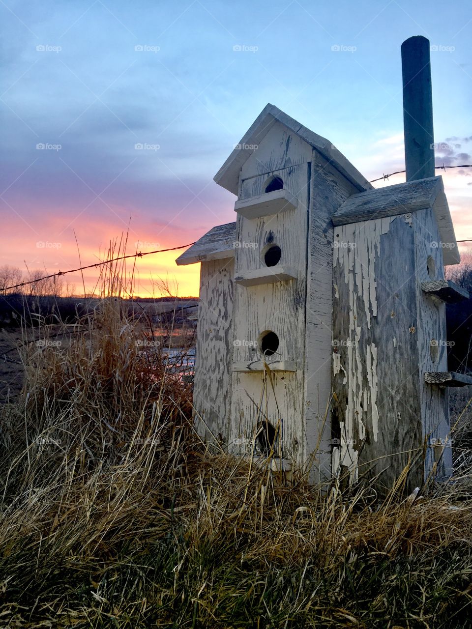 Old birdhouse in the farm