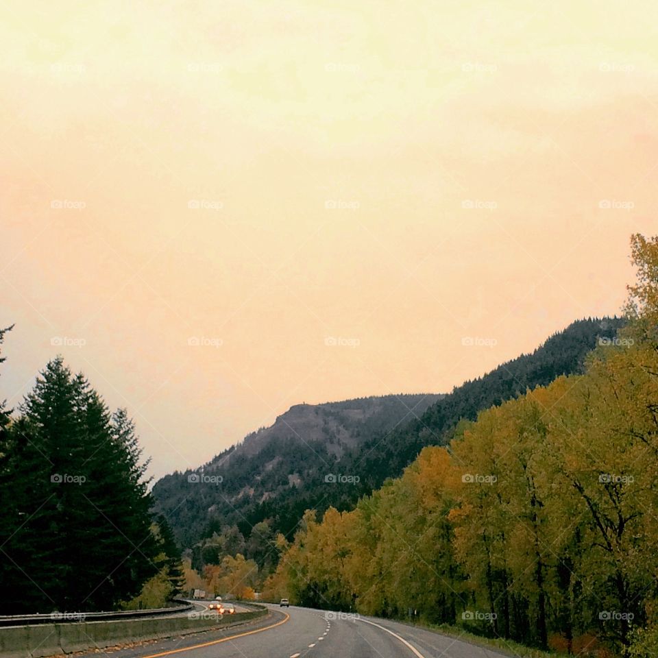 Tree, Road, Mountain, Fall, Travel