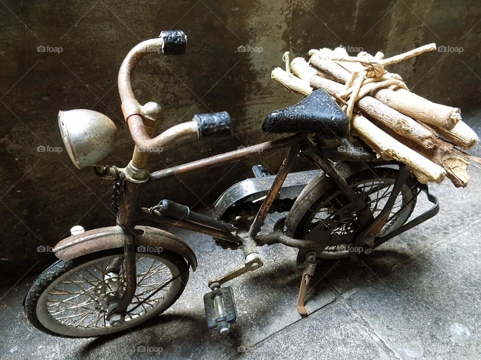 Looking for firewood with an old bicycle