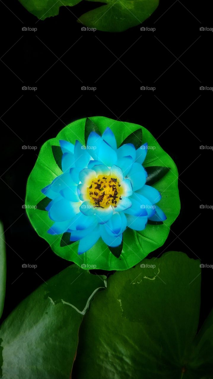 The colorful lotus flower made of colored fabric floating on the water