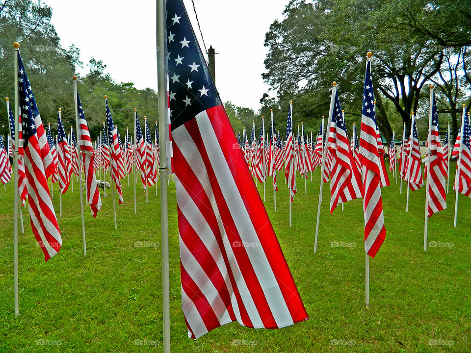 Field of Heroes. They gave their lives to ensure we continue to enjoy the freedom we have today. Features 352 American Flags for Florida!