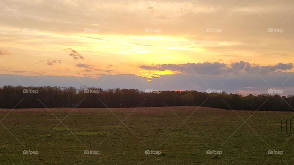 Field Sunset