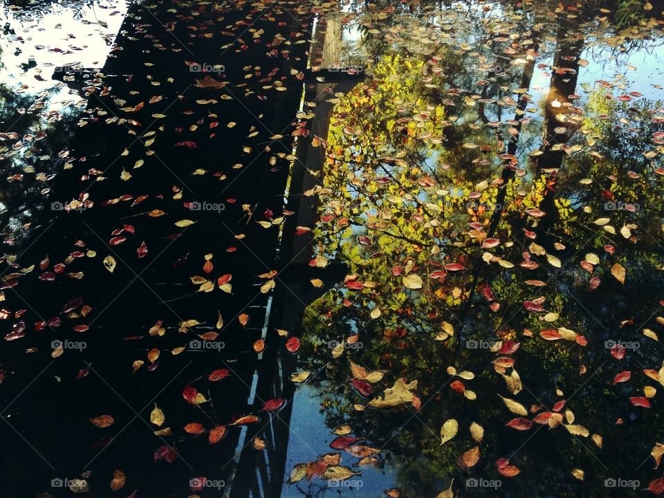 Reflection on the water