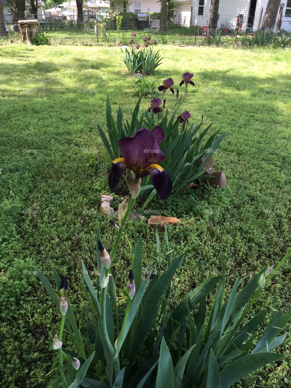 These are just some of the things that make me smile and warm my heart. I love watching new life.